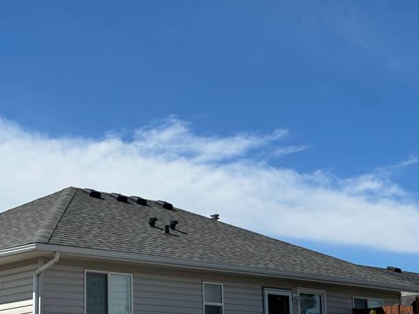 Best Roof Repair  in Ravenswood, WV